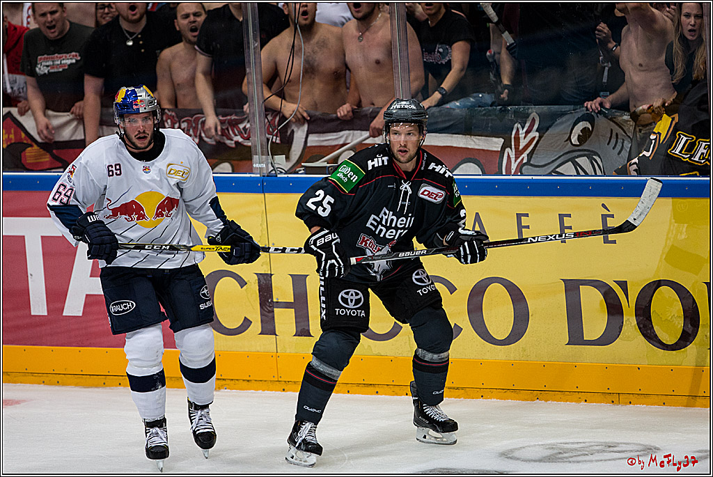 Koelner Haie - EHC Red Bull Muenchen , 16.09.16(KW37)